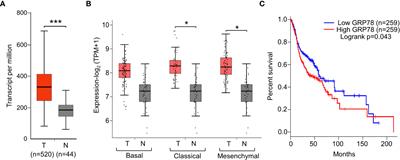 Suppression of head and neck cancer cell survival and cisplatin resistance by GRP78 small molecule inhibitor YUM70
